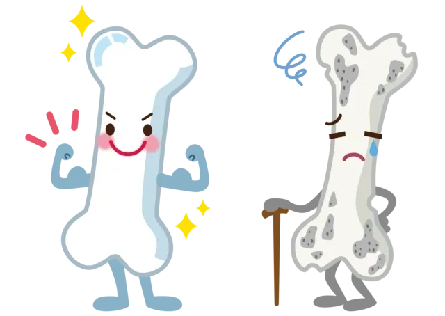 Bone health in women