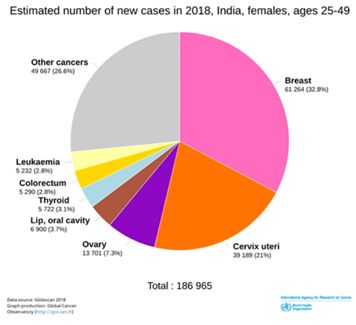 Chart of cervical cancer burden among Indian women